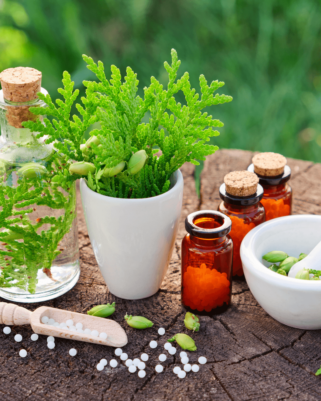 La Naturopathie
